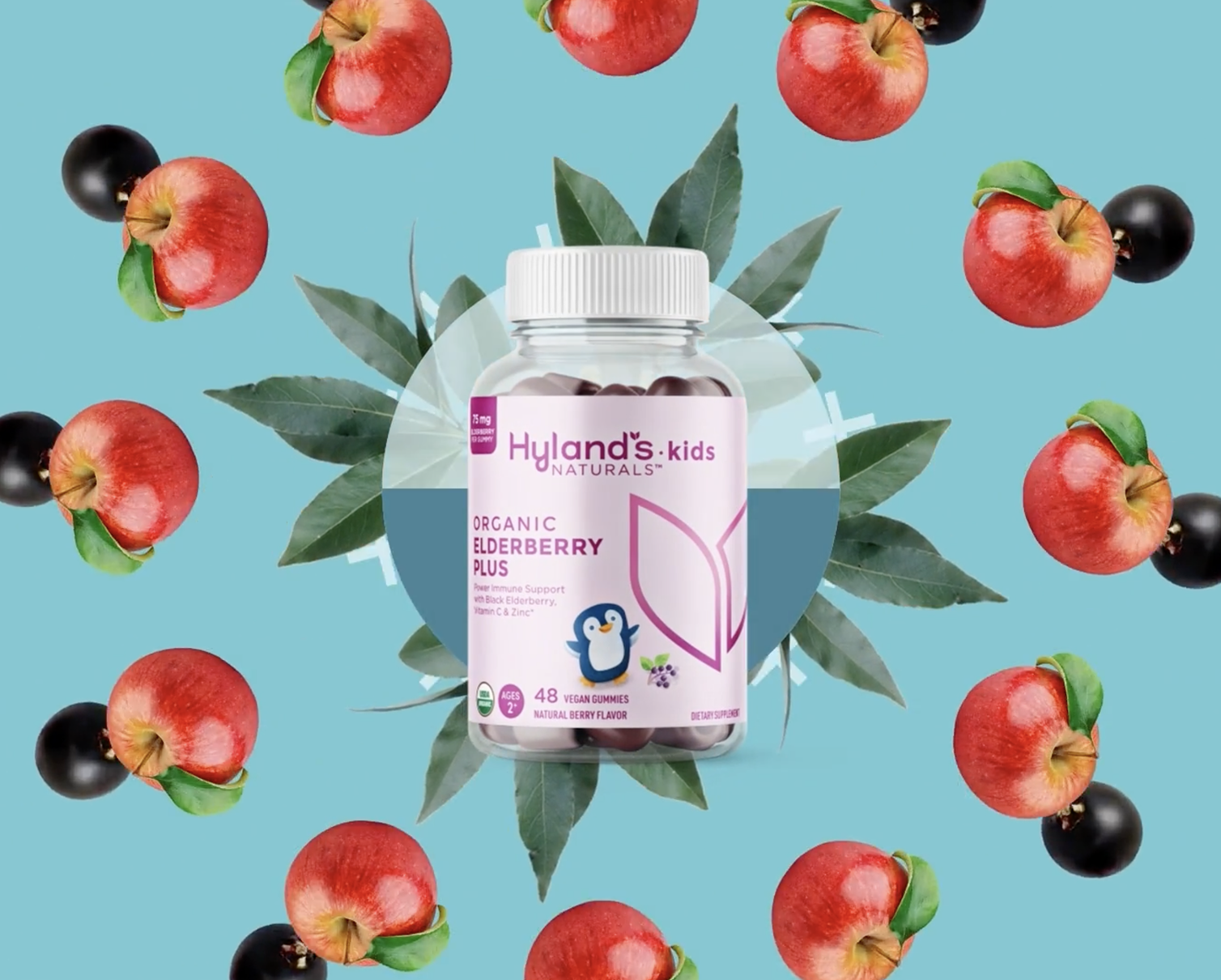 health wellness